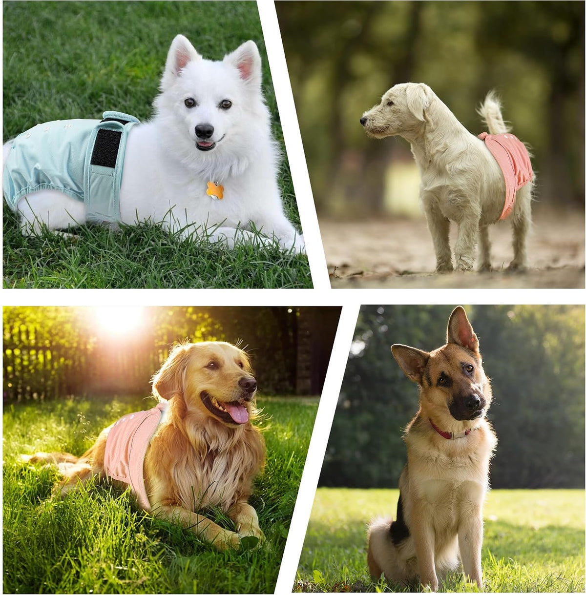 Reusable Dog Diapers Female Washable 3 Pack S Flowers for Heat – Essentials for Dogs - Yellow,Pink,Purple / L(15"-17"Waist) / 3 - image 4