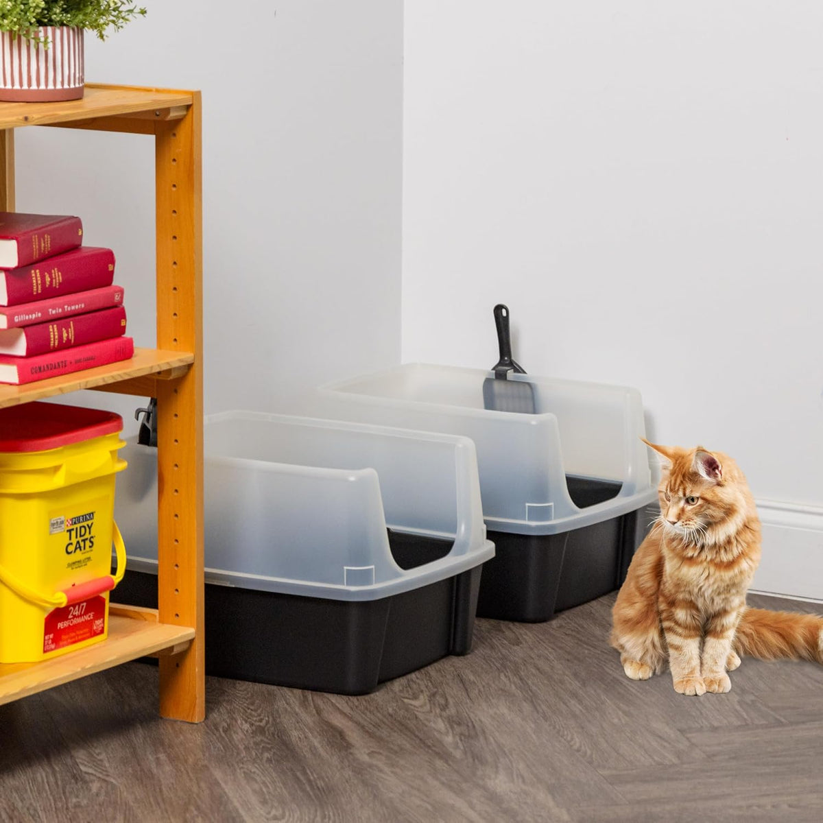 IRIS USA High Sided Cat Litter Box, Scatter Shield - Large - 2 Pack / Black - image 4