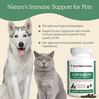 5 Defenders Mushroom Supplement for Cats & Dogs – Chaga, Shiitake, Reishi, Turkey Tail, Maitake – Cat Multivitamin & Dog Supplement for Wellness Support– 90 ct Real Mushrooms Powder Capsules