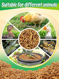 Mealworms Chicken Treats 2 Lbs with Handle Packing, High-Protein Promote Egg Production, Natural Chicken Feed for Laying Hens Wild Birds Ducks