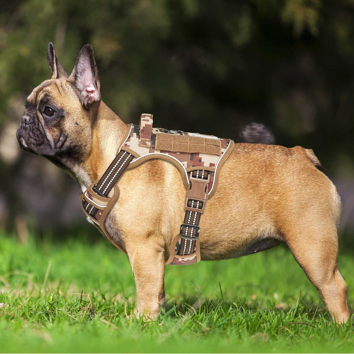 Beebiepet Tactical No Pull Dog Harness with Leash - Desert Camo / Medium - image 2