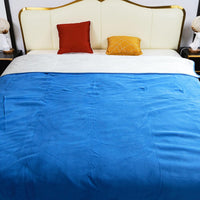 Waterproof Blanket for Bed Couch Sofa, Reversible & Reusable Cat - 80"x90" / Blue/Warm White