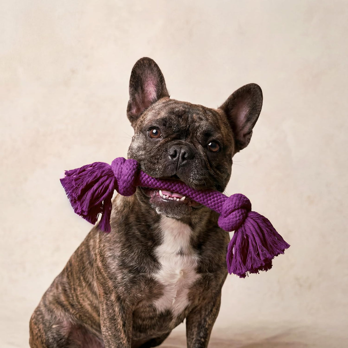 Playology Tug Rope Dog Toys for Large Dogs, Peanut Butter Scent - Medium / Bacon - image 3