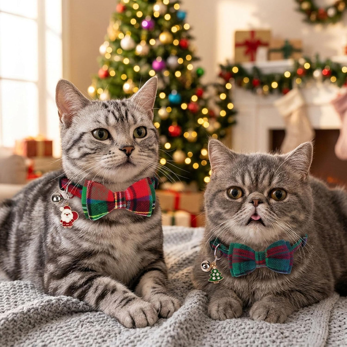 Fall Cat Collar with Bowtie - 7.5"- 10.5" / Christmas Plaid - image 3