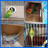 Parakeet Nesting Box, Wood Bird Nest House for Cage - M-9.84 x 5.11 x 5.11in - image 4