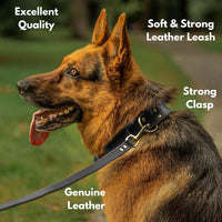 ADITYNA Leather Dog Leash for Large, and Small Dogs - L - 6 ft x 3/4 inch / Black - Gold Colored Clasp - image 2