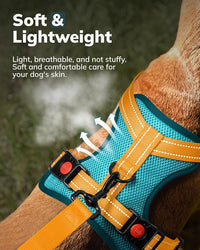 MIDOG No-Pull Dog Harness | Adjustable & Reflective Pet Harness Leash Set for Small Medium Large Dogs Walking, Training| No Choke, Front Clip, Soft Padded Vest with Easy Control Handle - Blue, XL
