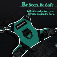 rabbitgoo Dog Harness No Pull with 2 Leash Clips, Adjustable Soft Padded, Reflective Oxford No Choke Pet Vest with Easy Control Handle for Puppy, Turquoise, XS