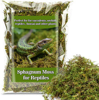 Sukh Sphagnum Moss for Reptiles, Green Terrarium Moss Substrate - 5.5 Ounces / Green