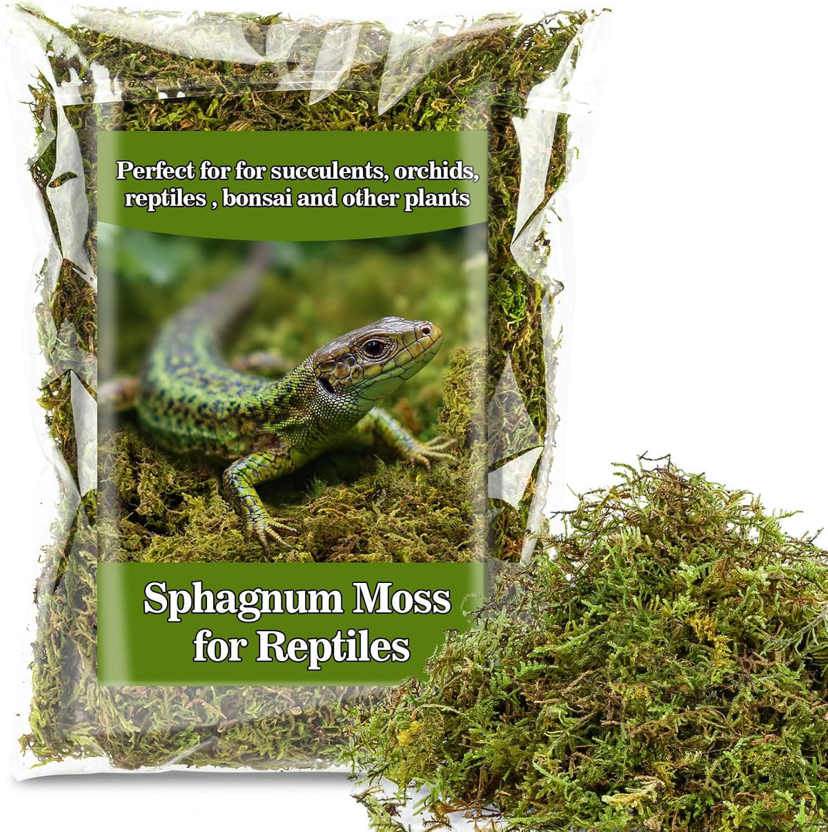 Sukh Sphagnum Moss for Reptiles, Green Terrarium Moss Substrate - 5.5 Ounces / Green