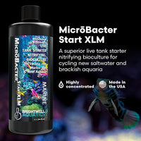 Brightwell Aquatics MicroBacter Start XLM - Concentrated Freshwater Nitrifying Bacteria - Quick Start Fish Tank Starter, Lift Microbe Levels & Water Filtering - Aquarium Water Treatments, 33.8 fl oz