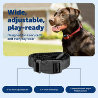 PetSafe 3/4 Inch Replacement Collar Strap, Rust/Red – Essentials for Dogs - Black - image 4
