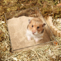 BUCATSTATE Hamster Bath Sand with Pour Spout - 3.3LB / Fine Sand - image 2