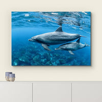 wall26 Canvas Print Wall Art Tropical Ocean Sea Underwater Dolphin Duo Nature Animals Photography Realism Rustic Scenic Landscape Wilderness Earth Colorful for Living Room, Bedroom, Office - 32"x48"