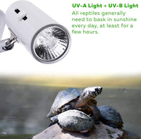 CALPALMY 4-Pack 50W UVA+UVB Bulbs - 75.0 Watts - image 2