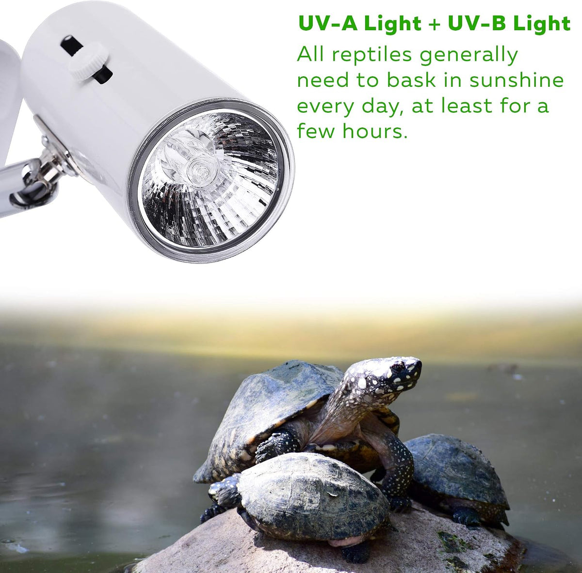 CALPALMY 4-Pack 50W UVA+UVB Bulbs - 75.0 Watts - image 2