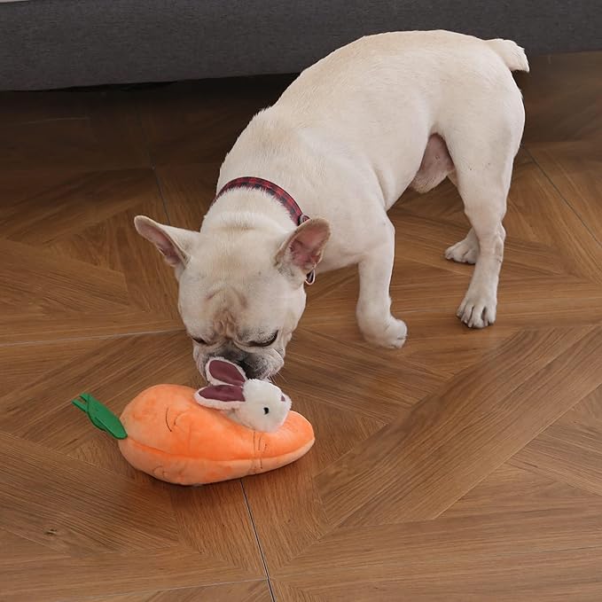 Amazon Basics Interactive Hide and Seek Squeaky Dog Plush Toy, Rabbit and Carrot, Orange and White, 5-Pack