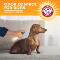 Arm & Hammer Super Deodorizing Dog Spray, Kiwi Blossom - image 4
