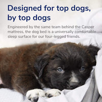 Casper Dog Bed, Plush Memory Foam - Blue / Small - image 4