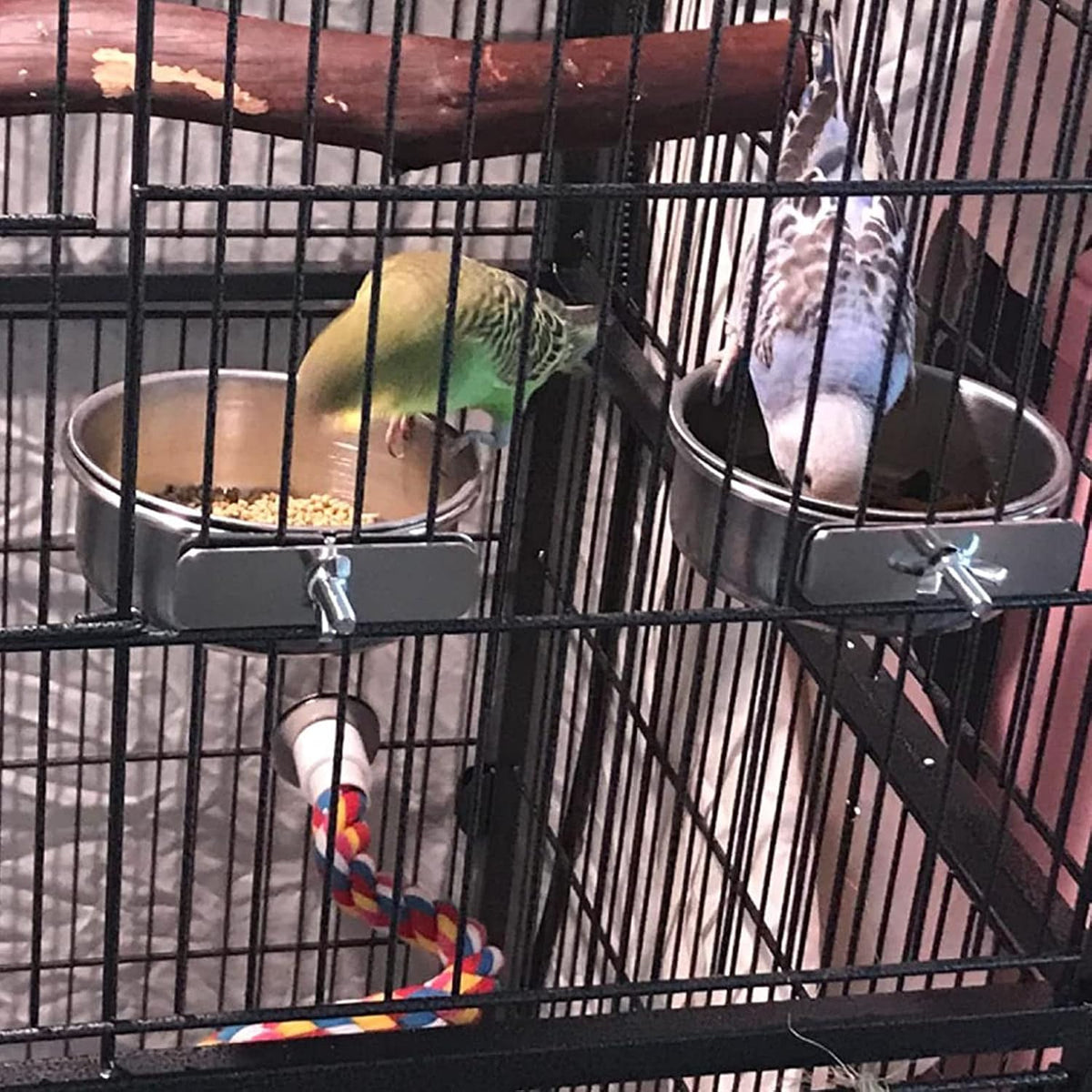 Parrot Feeding Dish Cups,Stainless Steel Bird Food Water Bowl Parakeet Feeder Birds Cage Ball Toys - 【4 PCS】 / 【M:4.7x2.2 Inches】 - image 4