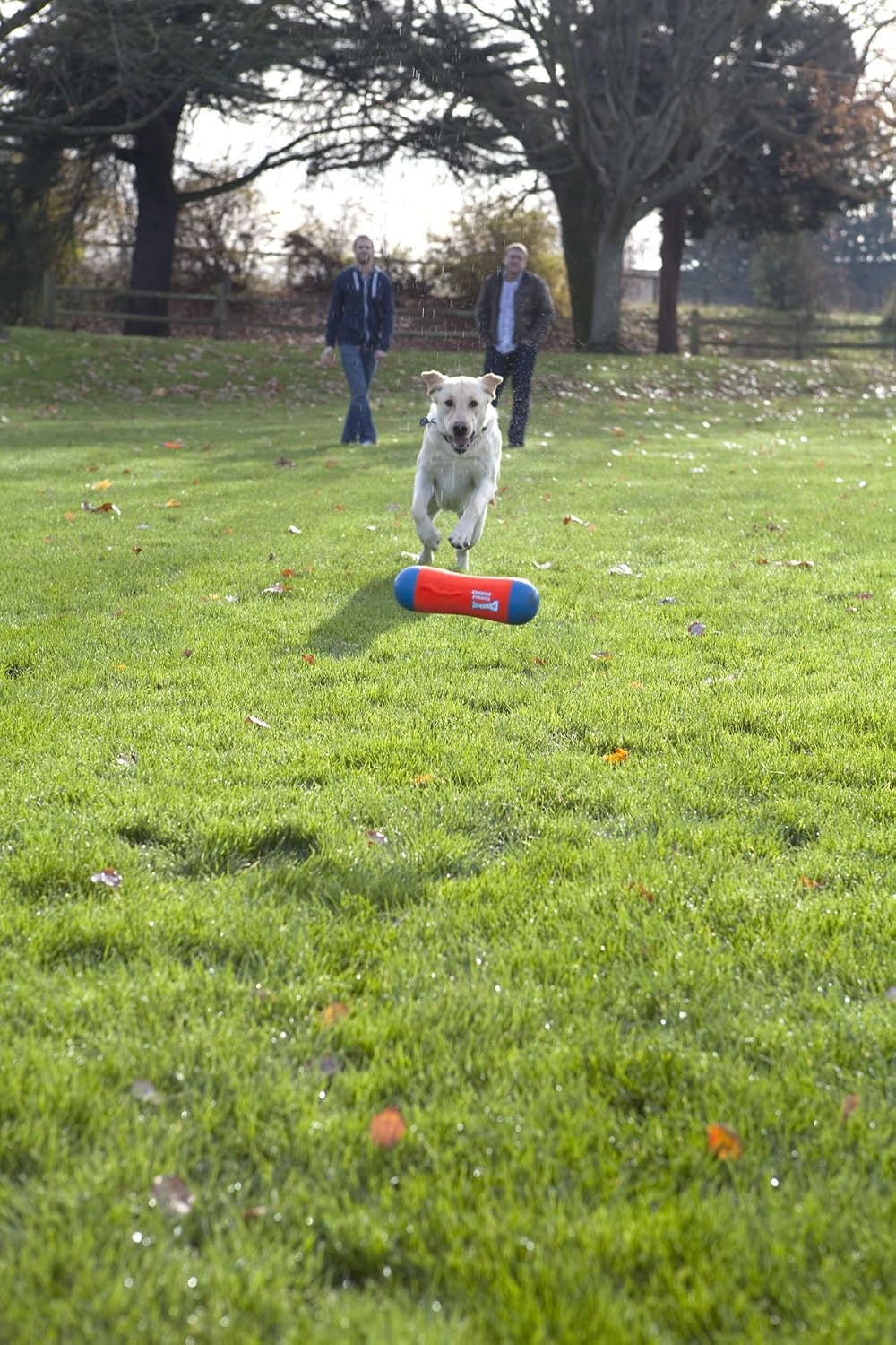 Triangular Fetch & Tug Dog Toy by Chuckit! – Essentials for Dogs - Medium / Tumbler Bumper - image 4