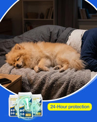 Dog Diapers Male Disposable, Belly Bands for Male Dogs, S 26pcs – Essentials for Dogs - S-52 - image 2