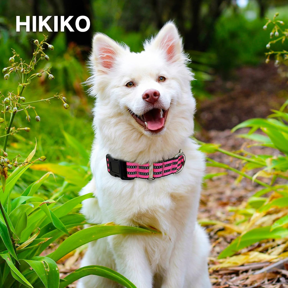 Martingale Collar for Dogs, Reflective Escape Proof, M - Hot Pink / Medium - image 3