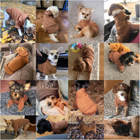 Soft Dog Hoodies for Small Dogs - Coffee / Large - image 4