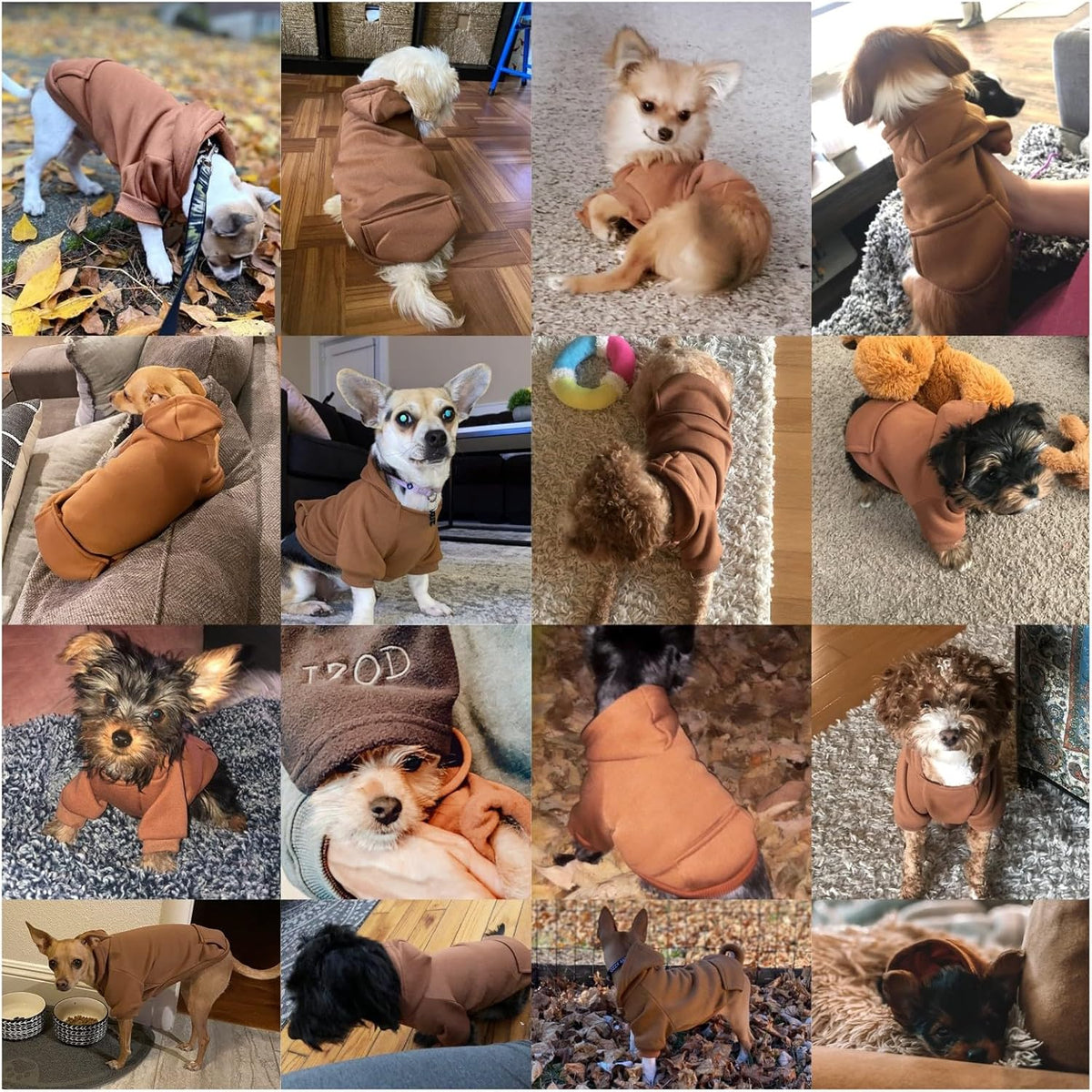 Soft Dog Hoodies for Small Dogs - Coffee / Large - image 4