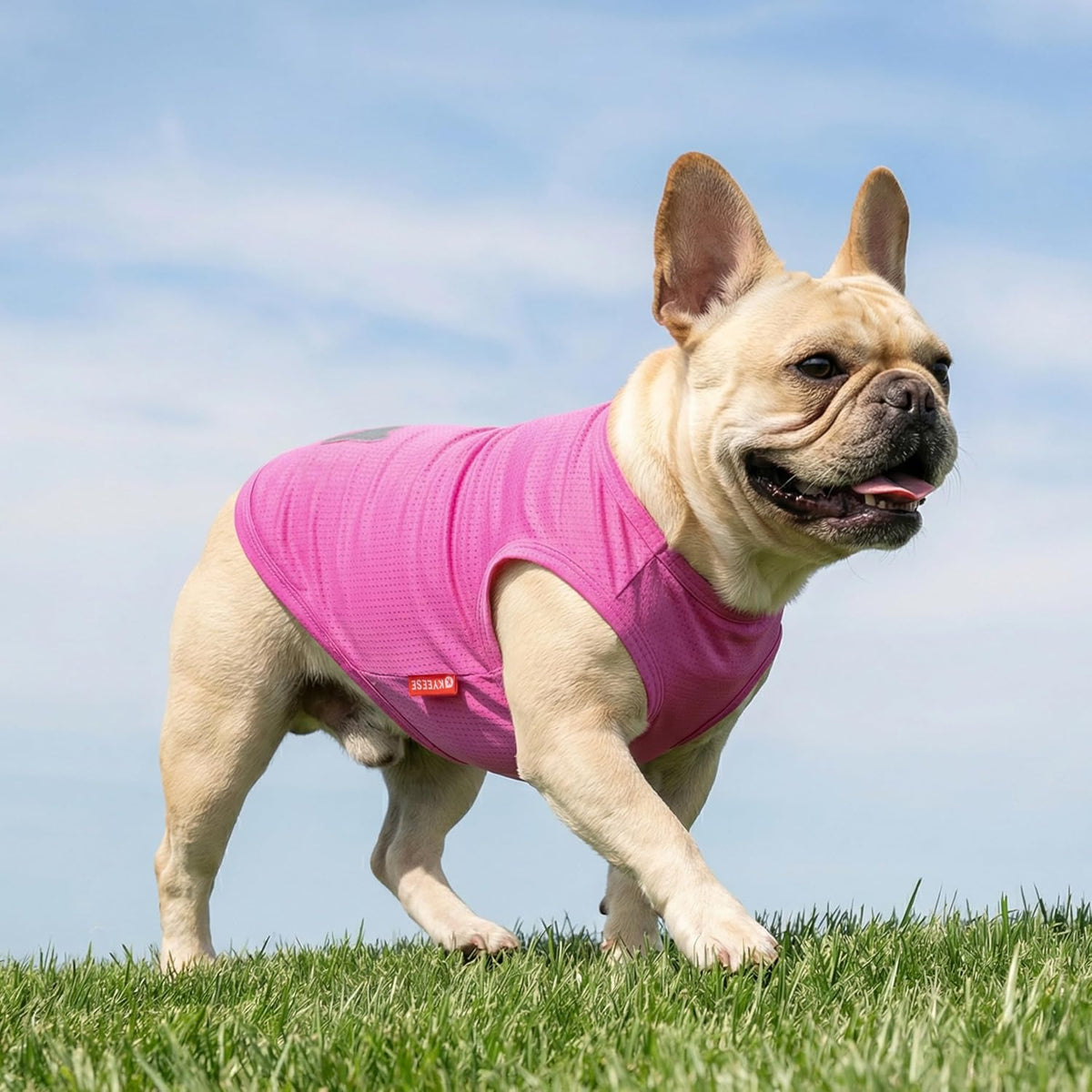 KYEESE 2Pack Dog Shirts for Medium Large Dogs Breathable Mesh Tank Top – Essentials for Dogs - Large (13-19lbs) / 6# 2Pack (Ice Pop+Pink) - image 2