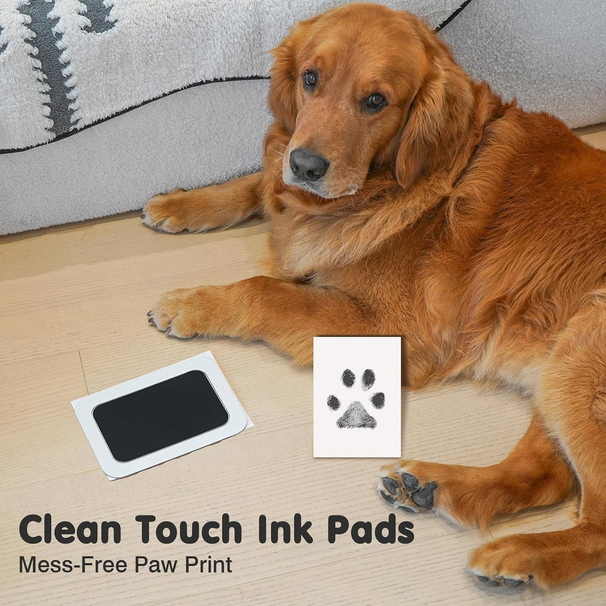Inkless Paw Print Kit for Dogs, Cats & Babies - Black Pad,Black Wood Frame / 2-Pack,Large - image 4