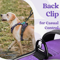 rabbitgoo Dog Harness Small Sized, No Pull Pet Harness with 3 Buckles, Adjustable Soft Padded Vest with Control Handle, Walking Reflective Pet Vest for Small Dogs, Purple, S