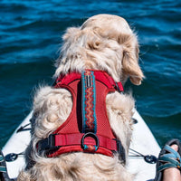 Wilderdog Lightweight Dog Harness with Reflective Straps - Ember / Medium - image 2