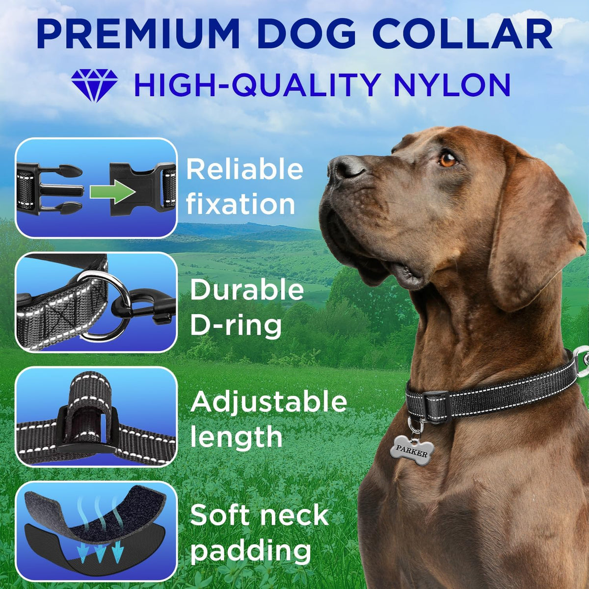 Reflective Neoprene Padded Dog Collar with Quick Release Buckle – Essentials for Dogs - Black / X-Large - image 2