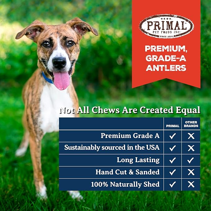 Primal Antlers for Dogs, Grade A Split Moose Antlers for Large Canines 45-60 lb, Natural Chews for Aggressive Chewers, Naturally Shed, Long Lasting Dog Bones, 1 ct