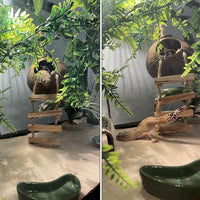 Lizard Coco Den with Ladder - 【Style A】 / 【With Ladder】 - image 2