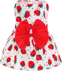 choyaxo Floral Dog Dress Cute Dog Skirt Pet Dress Summer Pet Clothes - Fruits / Large - image 2
