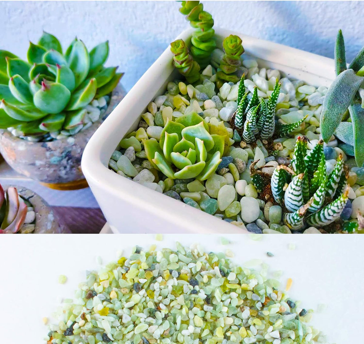 3lb Cactus Pea Gravel Rocks - 18LB / Light Green - image 4