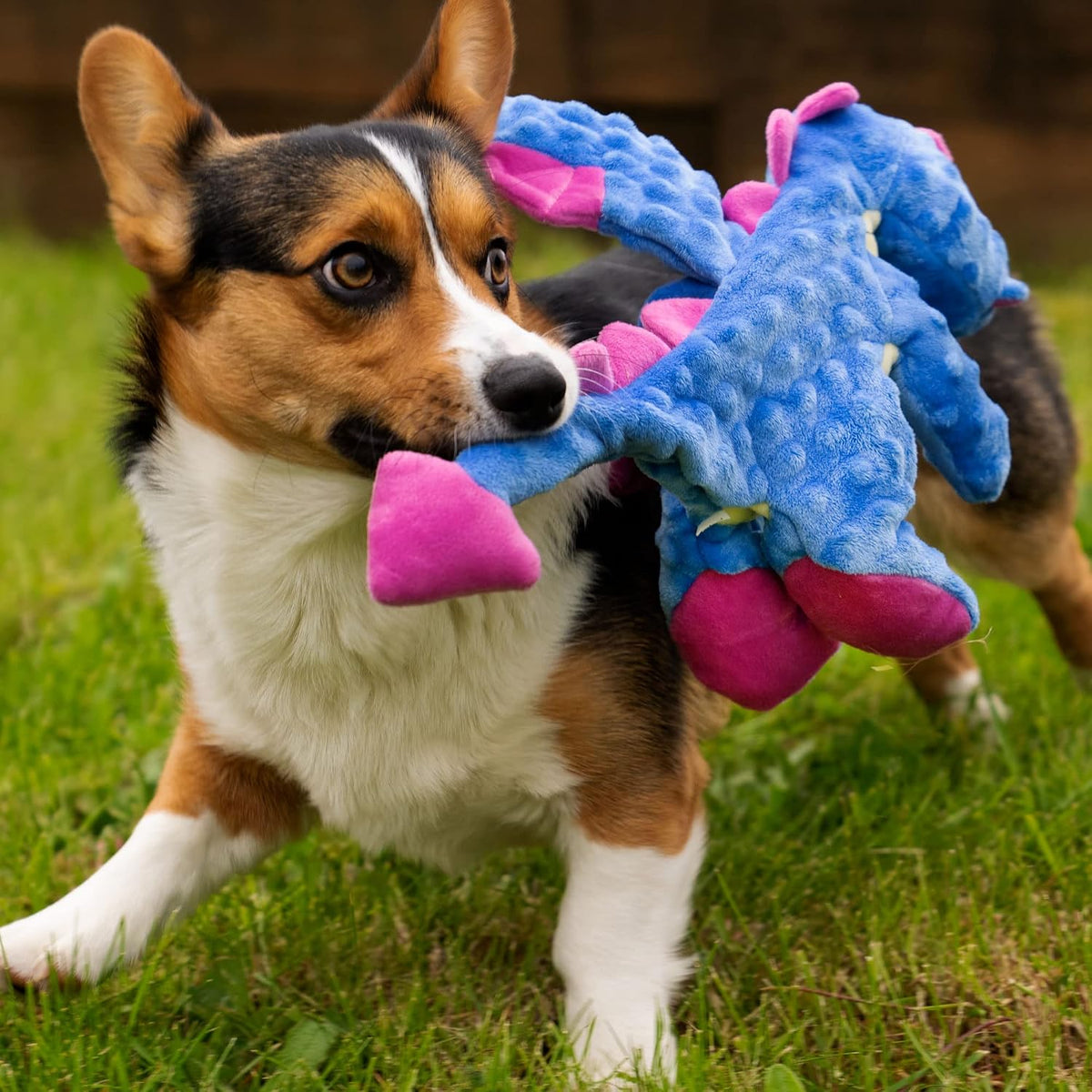 goDog Bubble Plush Dragons Squeaky Dog Toy - Dragons (Perwinkle) / Large (Pack of 1) - image 2