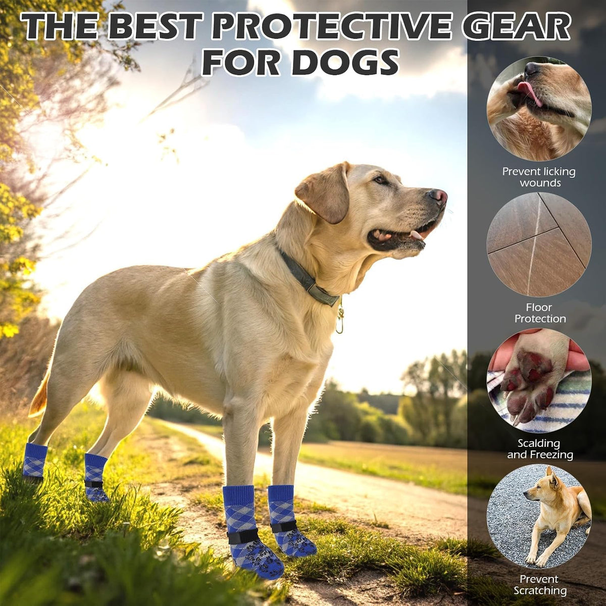 EXPAWLORER Dog Socks for Hot Pavement Summer to Prevent Licking Paws - Small / Blue - image 4