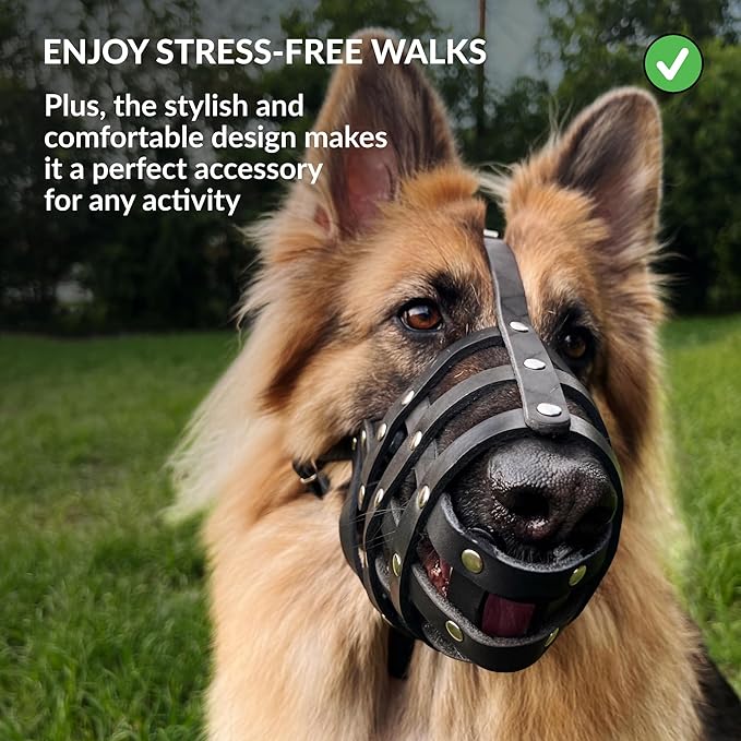 CollarDirect Dog Muzzle German Shepherd Dalmatian Doberman Setter Leather Basket Medium Large Breeds (Black, Large)