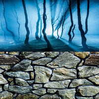 ELEBOX Fish Backgrounds Paper Double Sides 3D Stone & Trees Aquarium - H:15.7"x L:40.2" / N