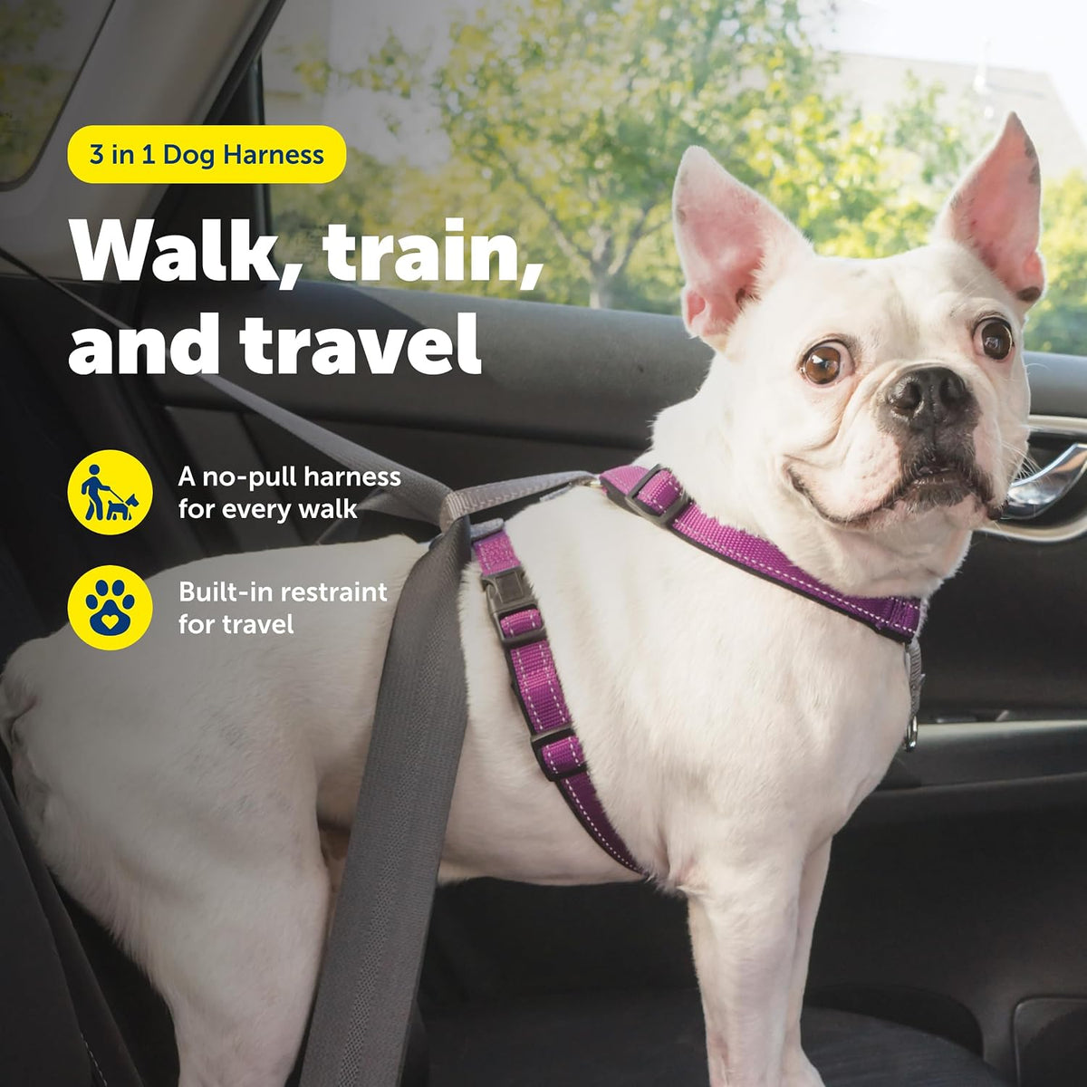 PetSafe 3 in 1 No-Pull Dog Harness, Walk, Train or Travel - Plum / Small (Pack of 1) - image 2