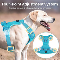 Light Up Dog Harness,Reflective Pet Harness Rechargeable,Led Dog Vest Harness for Night Walking,Adjustable Dog Safety Vest for Small Medium Large Dogs-No Pull,Blue,M