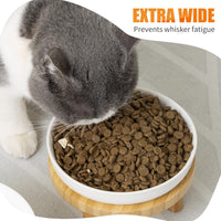 Shallow Wide Elevated Cat Bowls Whisker Fatigue – Essentials for Cats - Grey / Plate with stand(set of 2) - image 4