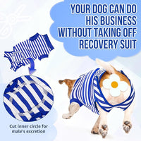 Lukovee Recovery Suit for Dogs - Zipper On Onesie for Female & Male Dogs, Abdominal Wounds Cone E-Collar Alternative, Prevent Licking - Spay Recovery Suit (X-Large, Blue & White)