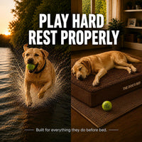 The Dog’s Bed Orthopedic Memory Foam Dog Bed - Brown Plush / Large Beds (6" deep) - image 2