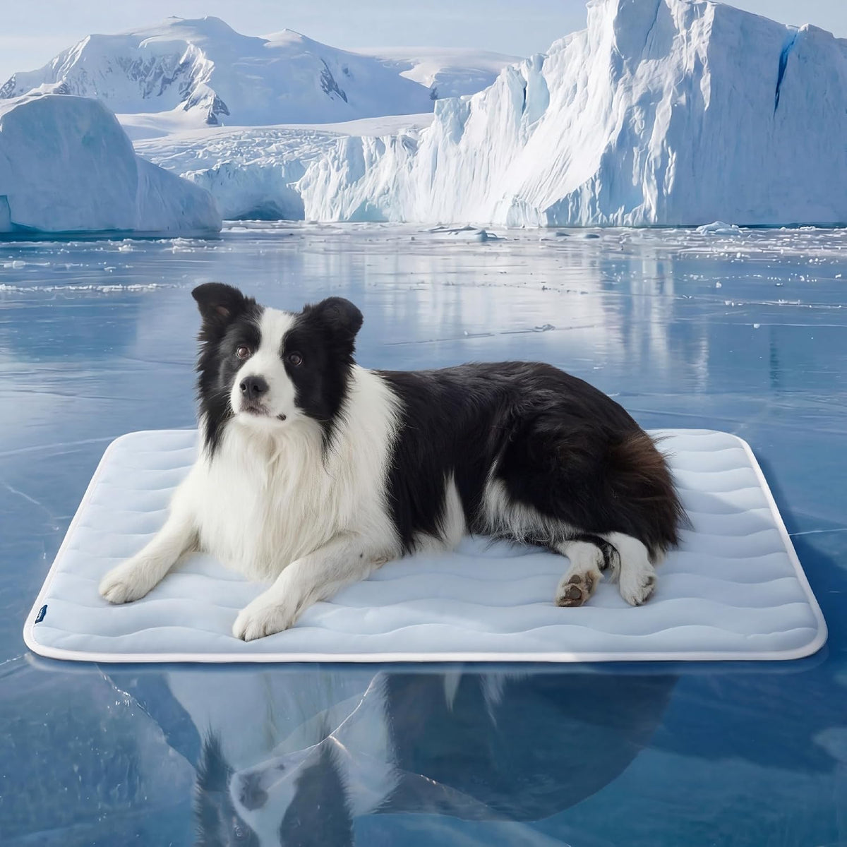 Bedsure Cooling Mat for Large Dogs - 41" x 28" (XL-Crate) / Blue