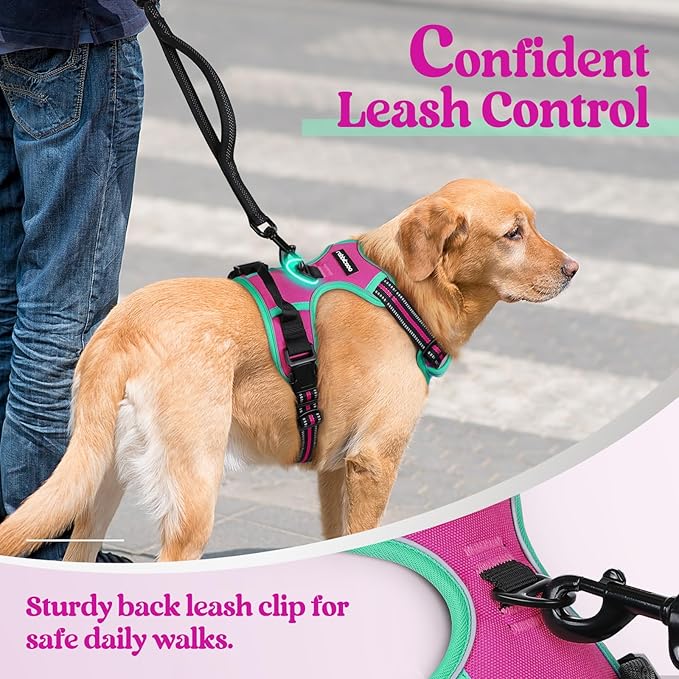 rabbitgoo Dog Harness No Pull with 2 Leash Clips, Adjustable Soft Padded, Reflective Oxford No Choke Pet Vest with Easy Control Handle for Large Dogs, Hot Pink & Turquoise, XL