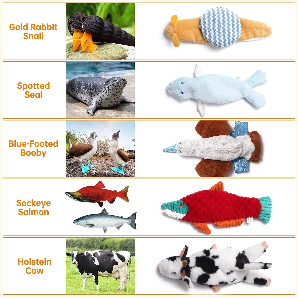 Nocciola Dog Squeaky Toys - 5 pcs Crinkle Plush Dog Toy - image 3